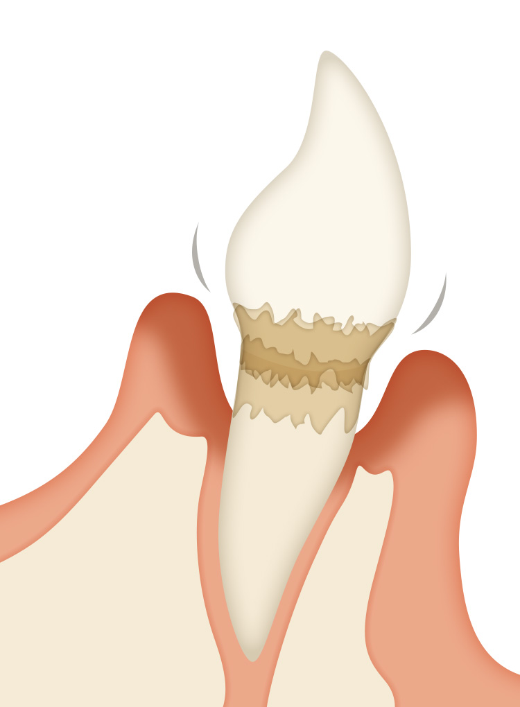 カンドーレ歯科 少数精鋭のスタッフと先端設備の総合歯科